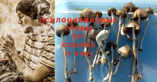 синтетический гашиш Алексин
