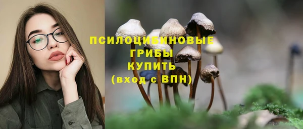 стафф Алзамай