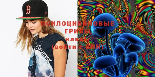 мяу мяу мука Абинск