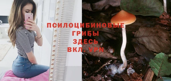 прущая мука Абаза
