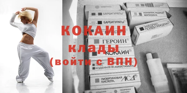стафф Алзамай