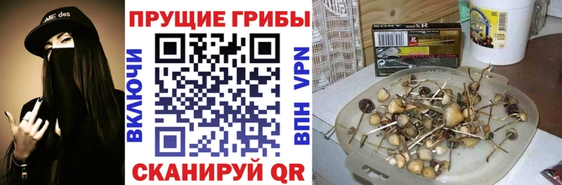 Галлюциногенные грибы Psilocybine cubensis Верхоянск